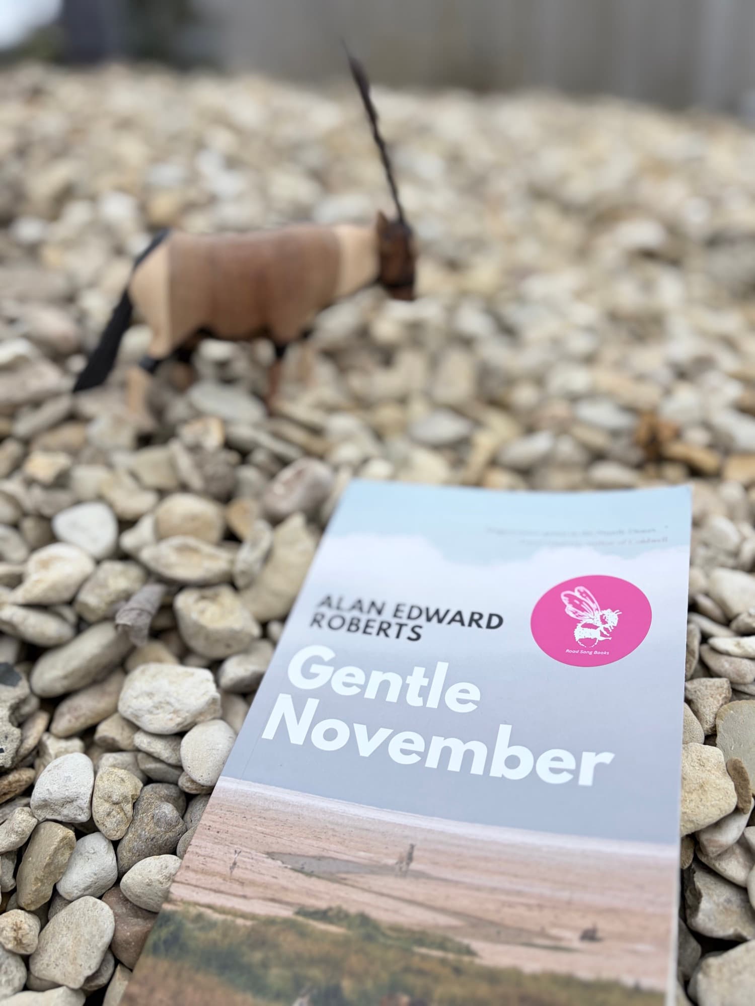 Gentle November by Alan Edward Roberts